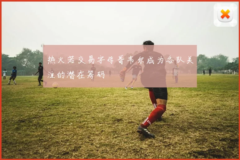 热火若交易字母哥韦尔成为各队关注的潜在筹码